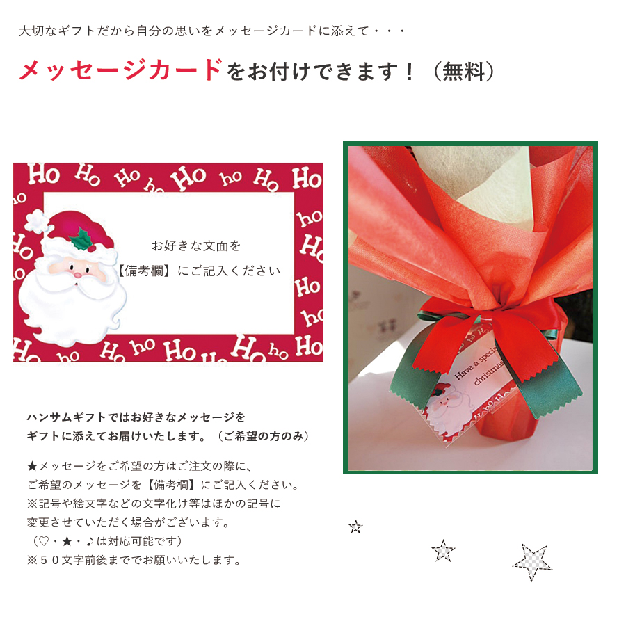 バルーンポット　クリスマスVer プリンセス・ソフィア